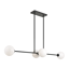 Image de Novo