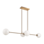 Image de Novo
