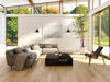 Image sur Z-STUDIO
