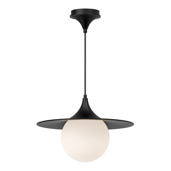 Image sur FUJI