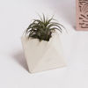 Image sur LOLITE - MIMIPOTS