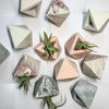 Image sur LOLITE - MIMIPOTS