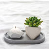 Image sur LOLITE - MIMIPOTS
