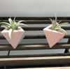 Image sur LOLITE - MIMIPOTS