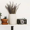 Image sur OPALE - MIMIPOTS