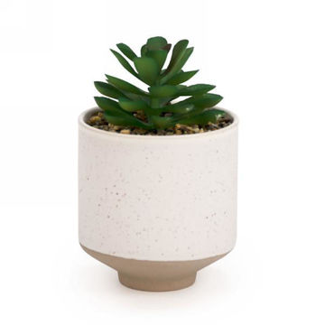 Image de PLANTE ARTIFICIELLE