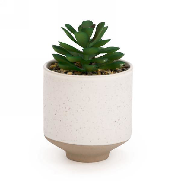 Image sur PLANTE ARTIFICIELLE