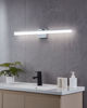 Image sur PALMITAL