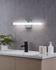 Image sur PALMITAL