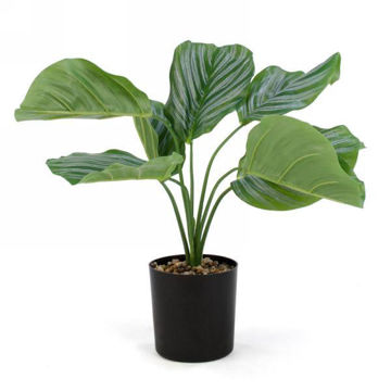 Image de PLANTE ARTIFICIELLE
