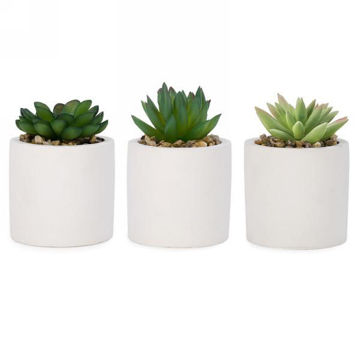 Image de PLANTE ARTIFICIELLE