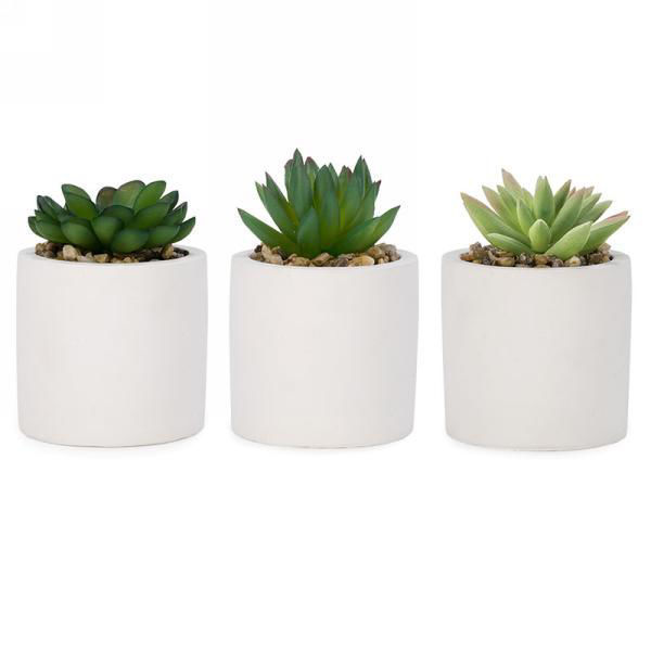 Image sur PLANTE ARTIFICIELLE