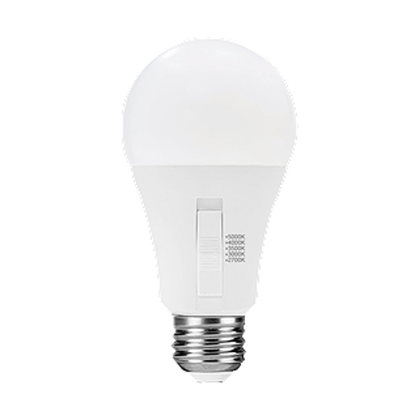 Image sur AMPOULE DEL A19