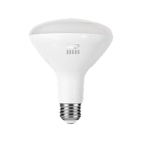 Image sur AMPOULE DEL BR30