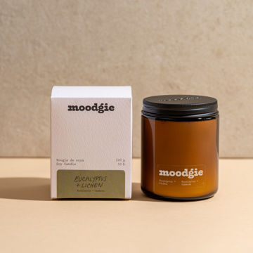 Image de BOUGIES DE SOYA - EUCALYPTUS + LICHEN