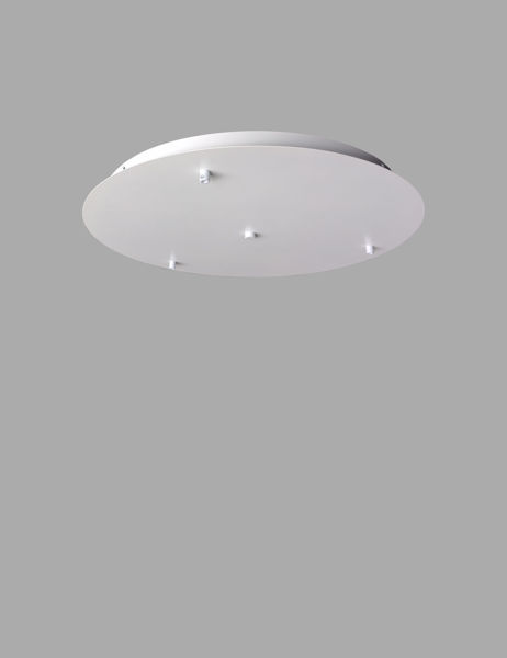 Image sur CANOPY-24