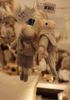 Image sur ADV HOME