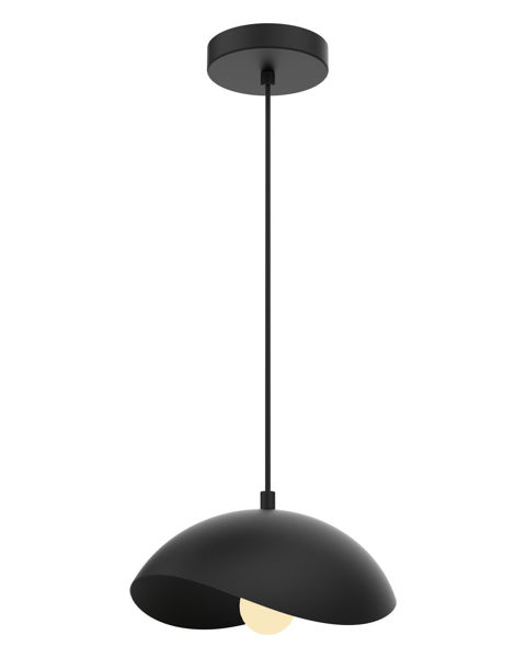 Image sur P29011